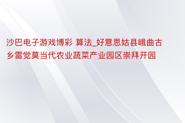 沙巴电子游戏博彩 算法_好意思姑县峨曲古乡雷觉莫当代农业蔬菜产业园区崇拜开园