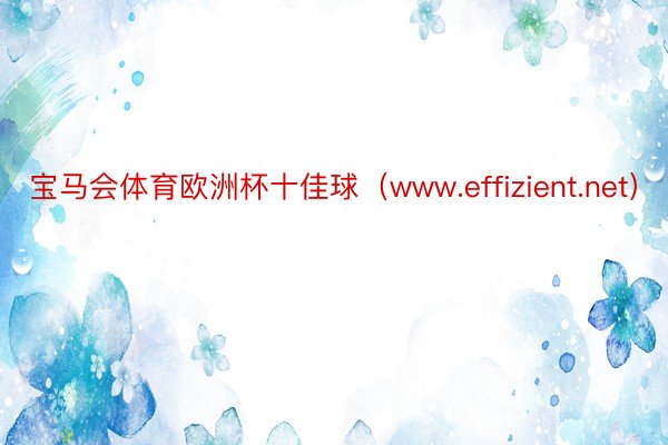 宝马会体育欧洲杯十佳球（www.effizient.net）